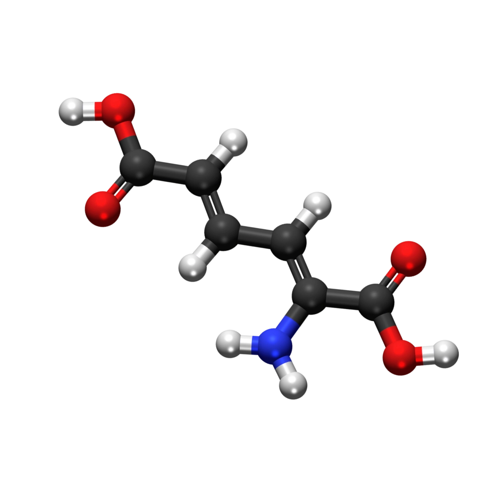Metabolic branch chain